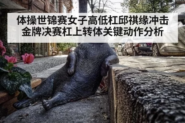 体操世锦赛女子高低杠邱祺缘冲击金牌决赛杠上转体关键动作分析